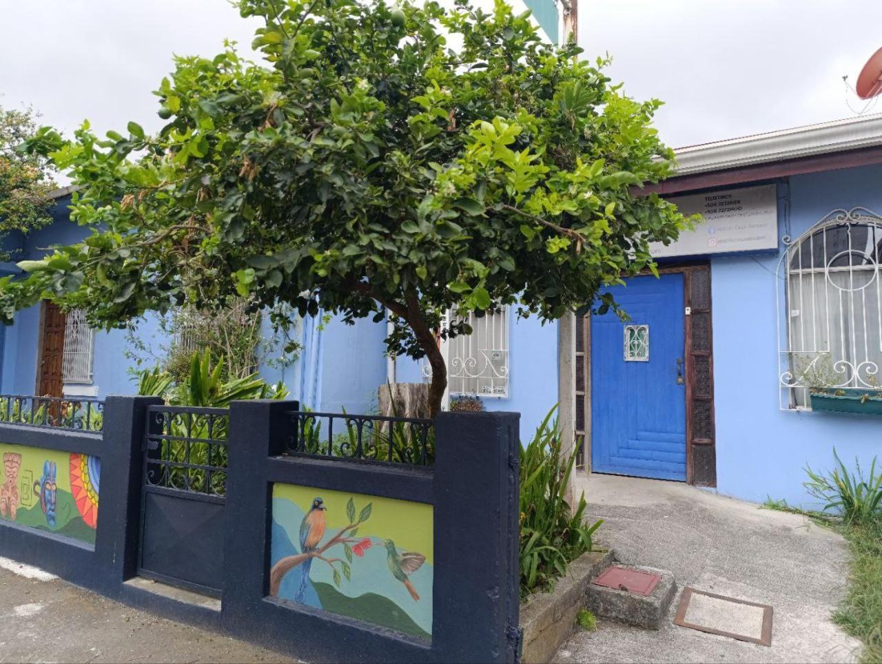 Hostel Casa Ridgway San Jose  Luaran gambar